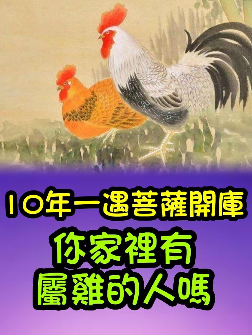 今晚菩薩開庫！屬雞人10年一遇大好運，快來接！