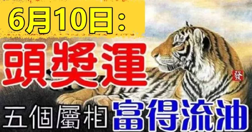 6月10日：有頭獎運，富得流油的五屬相！