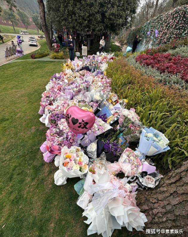 李玟51歲冥誕，墓地成為一片浪漫花海，蕭亞軒的粉絲送鮮花