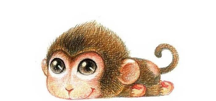 屬猴人的終身壽命： 1968、1980、1992年， 準得可怕！！