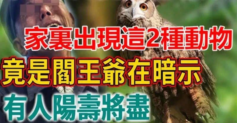 家裏如果出現這2種動物，竟是閻王爺在暗示，有人陽壽將盡！一定要小心了！