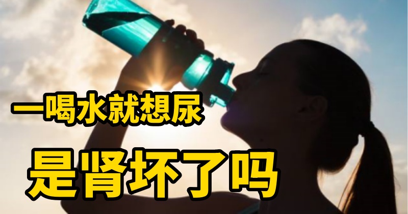 一喝水就想尿，是腎壞了嗎？