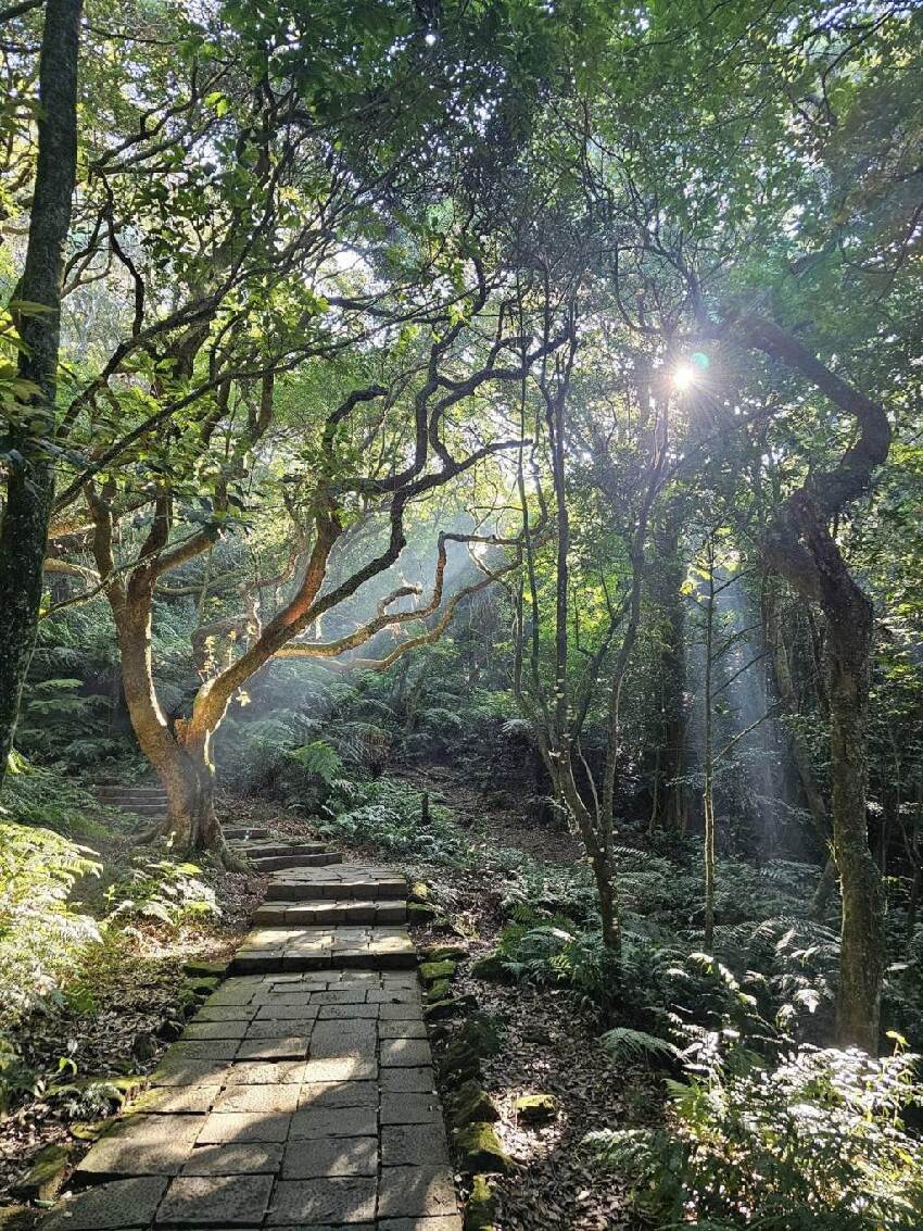 陽明山驚見妹子0上衣散步!他連拍15張看傻:連內衣都沒穿 第 3 張