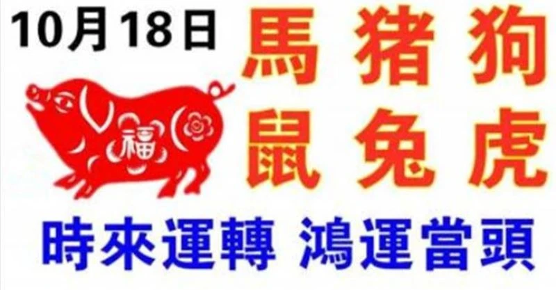 10月18日生肖運勢_馬、豬、狗大吉