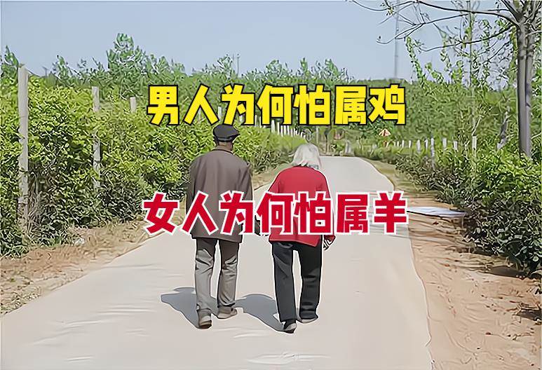 俗語「男怕屬雞，女怕屬羊」屬雞和屬羊有啥說法？不是迷信，一定要多注意