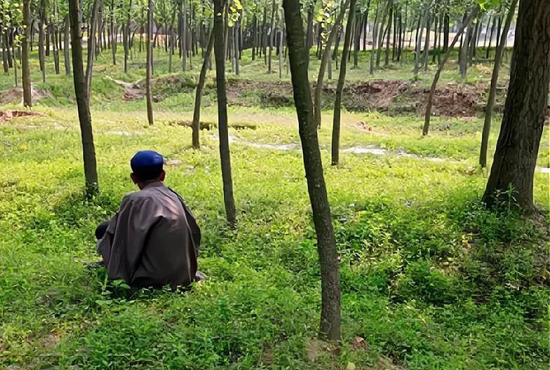 俗語「男怕屬雞，女怕屬羊」屬雞和屬羊有啥說法？不是迷信，一定要多注意