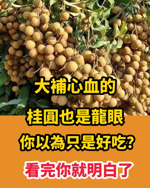 大補心血的桂圓也是龍眼，你以為只是好吃？看完你就明白了