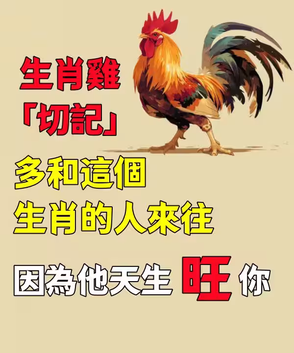 生肖雞「切記」：多和這個生肖的人來往， 因為他天生「旺你」