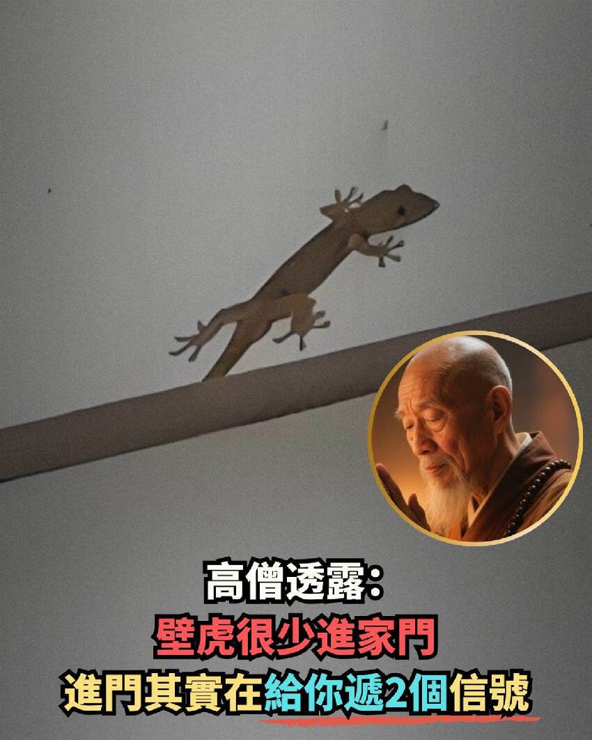 高僧透露：壁虎很少進家門，進門其實在給你遞2個訊號，越早知道越好