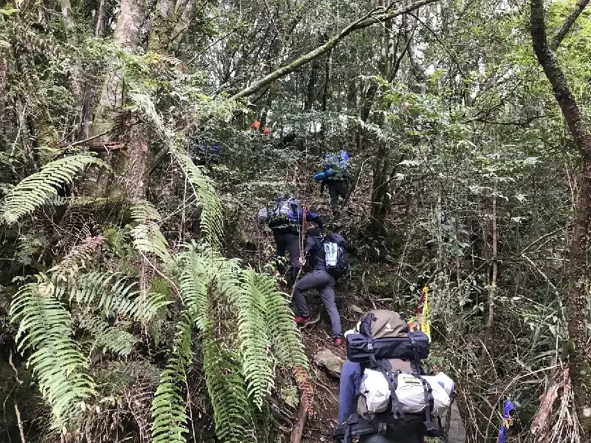 女大生闖北屯山區迷路！獲救後大哭「阿伯教我們走東北方」　警消一聽發毛「你們差點掛掉」：不可能走那條阿