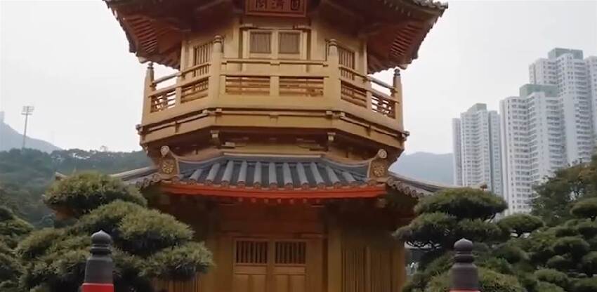 睡覺做夢夢見蛇，竟是菩薩想告訴你這件事！你一定想不到！