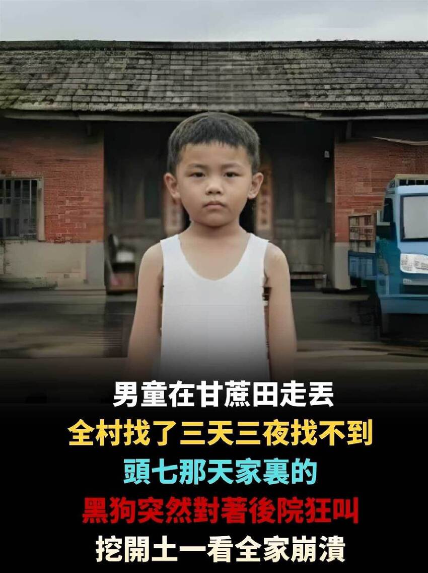 雲林5歲男童在甘蔗田走丟，全村找到了三天三夜失蹤，頭七日家裡的黑狗突然對著後院狂叫，挖土一看全家崩潰……