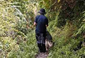 雲林5歲男童在甘蔗田走丟，全村找到了三天三夜失蹤，頭七日家裡的黑狗突然對著後院狂叫，挖土一看全家崩潰……