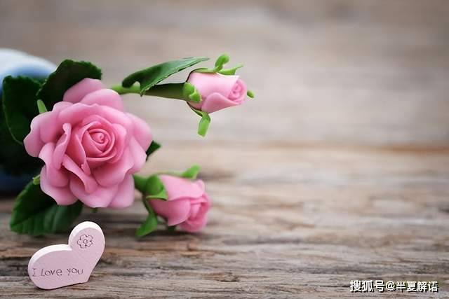 婚禮前一個月,准婆婆突然在女兒家中風癱瘓,男友打10通電話:你不辭職誰伺候?