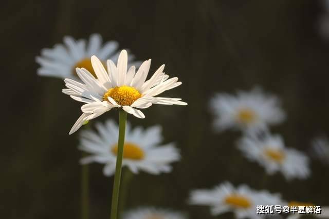 婚禮前一個月,准婆婆突然在女兒家中風癱瘓,男友打10通電話:你不辭職誰伺候?