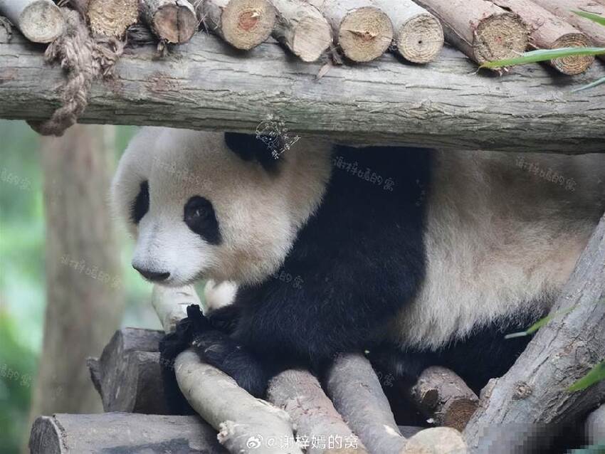 每天看一遍，煩惱再見。暖暖的花花太治癒了~