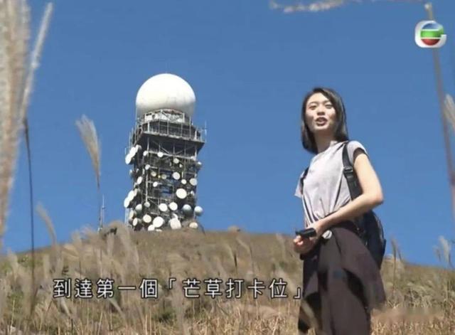 TVB「九頭身女主播」片段惹熱議，似足關之琳，曾是樂基兒的師妹