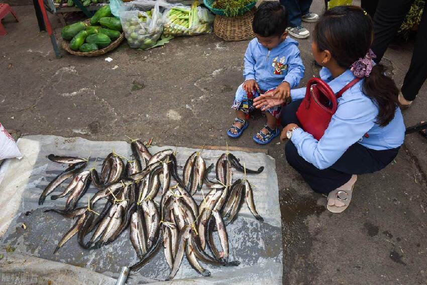 含寄生蟲最多的3種魚，水產商自己都不吃，很多人並不知道，還經常買來吃