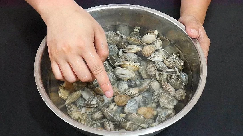 清洗花蛤時，放油鹽是大錯！海邊人教你一招，1分鐘花蛤瘋狂吐沙！