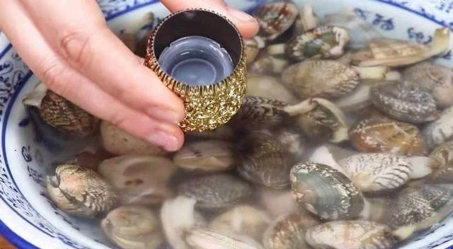 清洗花蛤時，放油鹽是大錯！海邊人教你一招，1分鐘花蛤瘋狂吐沙！