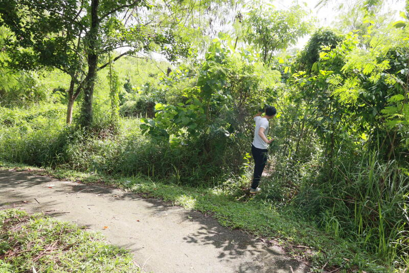 地鐵站附近叢林暗藏春色　「艷女」野外招客