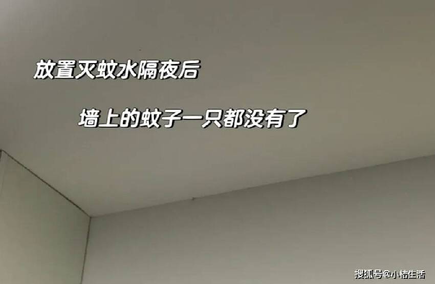 蚊子的天敵，原來不是蚊香！5個「土方法」，讓你整晚開窗都不怕