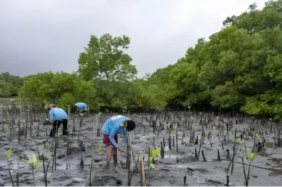 印尼驚世大浩劫,首都正在下沉消失,千萬人大逃亡!
