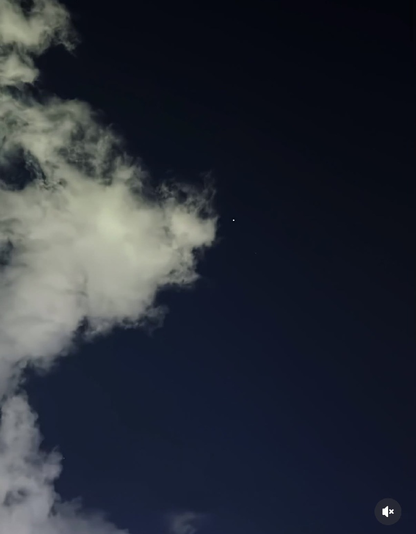 佘詩曼父親節曬照憶父，稱父親愛美皮膚白皙，感慨父女緣分僅五年