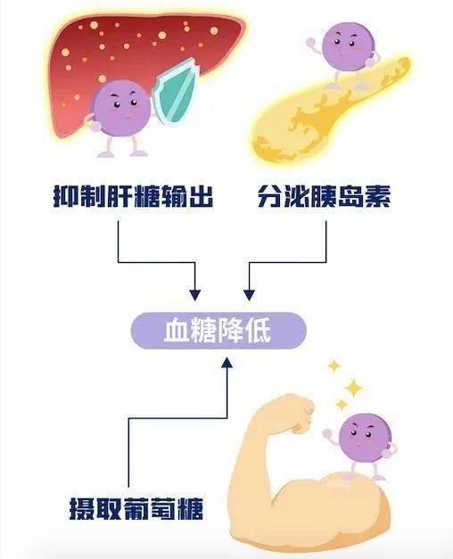 52歲糖尿病女子，每天光吃菜不吃米飯，半年後身體竟發生了這種變化，連醫生也嚇了一大跳！