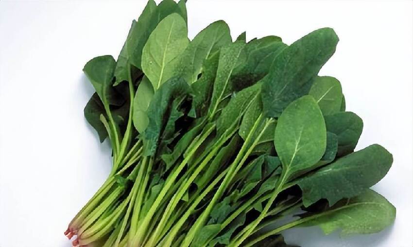 菠菜是結節的加速器!醫生提醒:不想結節癌變,盡量少吃8種食物