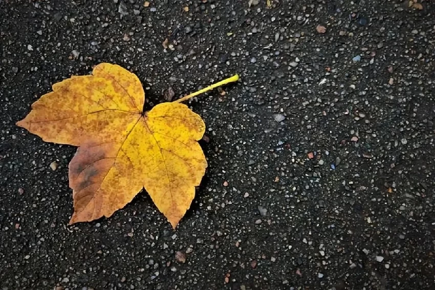 人到五十歲，如果你還對四件事感興趣，證明你還很年輕