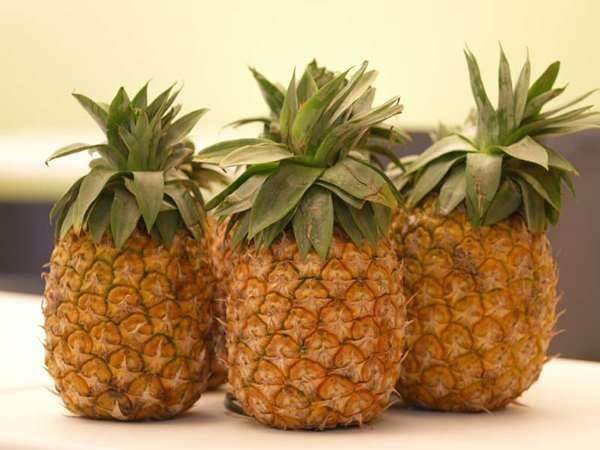 拜拜時「這6種水果」對神明不敬！絕不能上供桌！