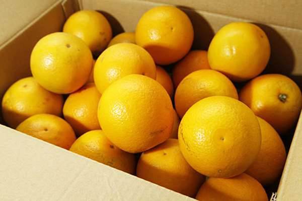 拜拜時「這6種水果」對神明不敬！絕不能上供桌！