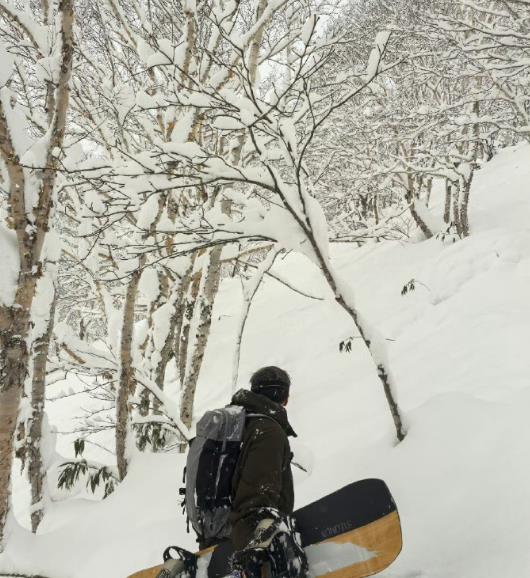 謝霆鋒帶大兒子滑雪耍帥，和Lucas在雪地里互拍，父子動作一致