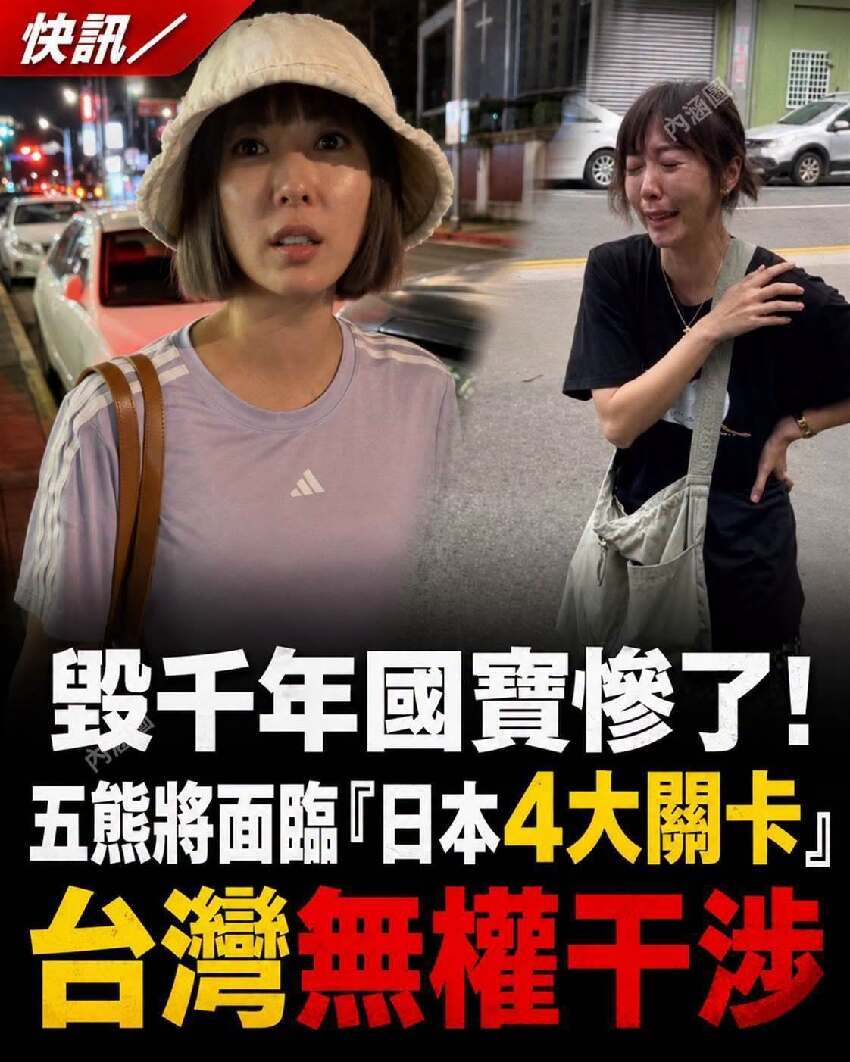 快訊／五熊毀日國寶 「面臨3大嚴厲處分」！