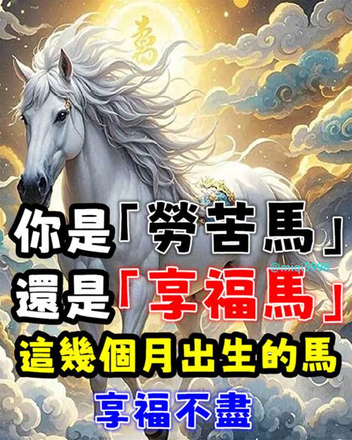 你是「勞苦馬」還是「享福馬」看看哪個月出生的馬，享福不盡