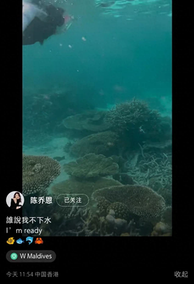 陳喬恩與小9歲老公潛水，穿泳裝大秀火辣身材，全身零贅肉超養眼