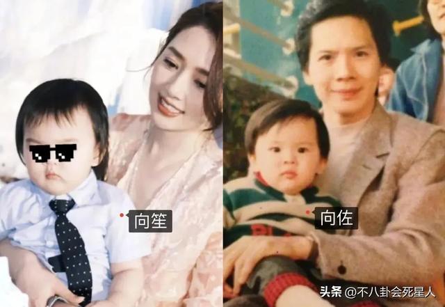 看了向佐4歲女兒的近照，才知道郭碧婷「改善」了向家第三代基因