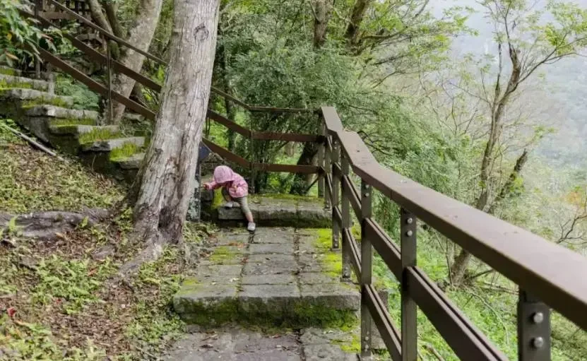 新加坡爸爸「單獨帶2歲女兒」前往台灣旅行！一踏上旅程「秒感受到媽媽的偉大……」：發自內心佩服她們