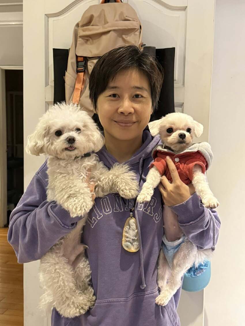 3大核彈引爆！她預言「民進黨2026選情慘了」：生機陣亡