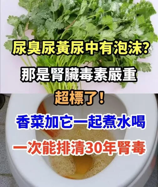 尿臭尿黃尿中有泡沫？ 那是腎臟毒素嚴重超標了！ 香菜加它一起煮水喝，一次就能排清30年腎毒，讓你腎臟年輕30歲!