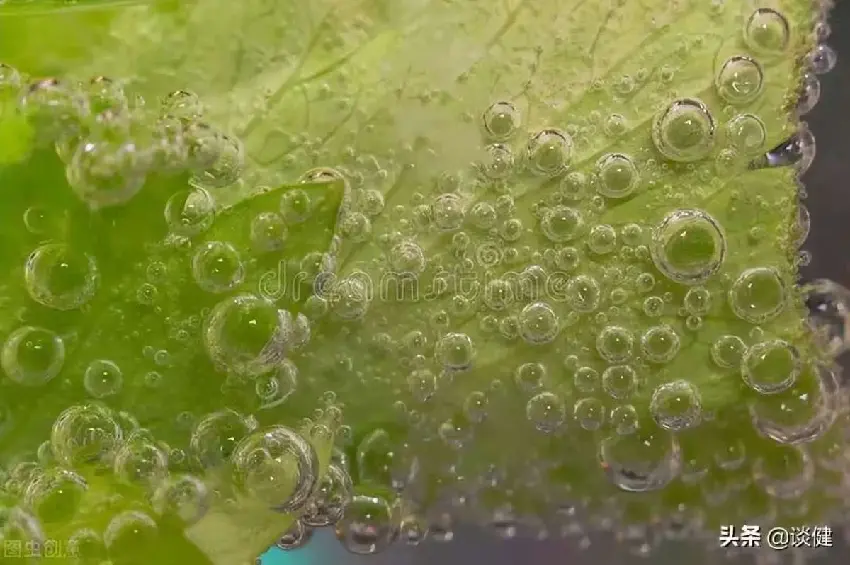 尿臭尿黃尿中有泡沫？ 那是腎臟毒素嚴重超標了！ 香菜加它一起煮水喝，一次就能排清30年腎毒，讓你腎臟年輕30歲!