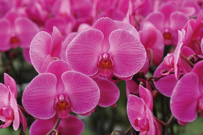 晚年最有錢的人，恭喜你上榜