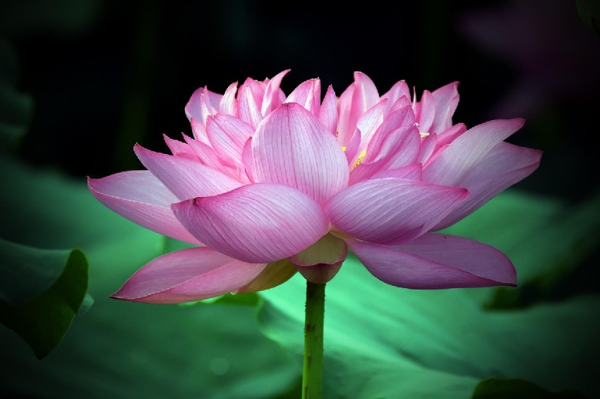 晚年最有錢的人，恭喜你上榜