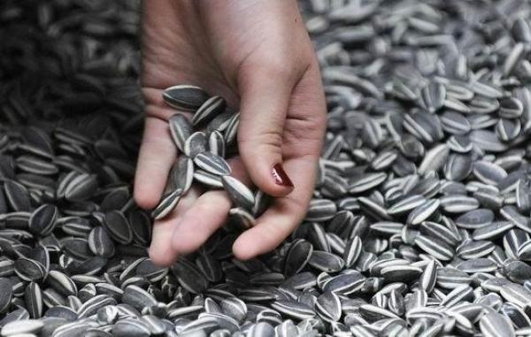 慟！梅豔芳死於子宮頸癌，享年40歲、鳳飛飛肺癌逝世，享年60歲。這10種致癌食物太可怕了，能不碰就不碰！