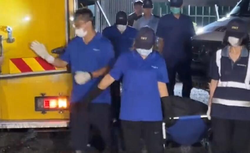 震動全港！27歲女子深夜被多隻狗圍咬致死，2個月爆發8起犬只襲擊事件…