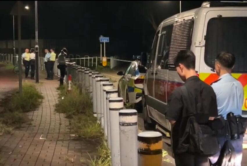 震動全港！27歲女子深夜被多隻狗圍咬致死，2個月爆發8起犬只襲擊事件…