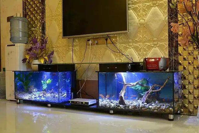 家裡再有錢，電視機旁盡量不要放這幾樣東西，好多人不懂，快拿走