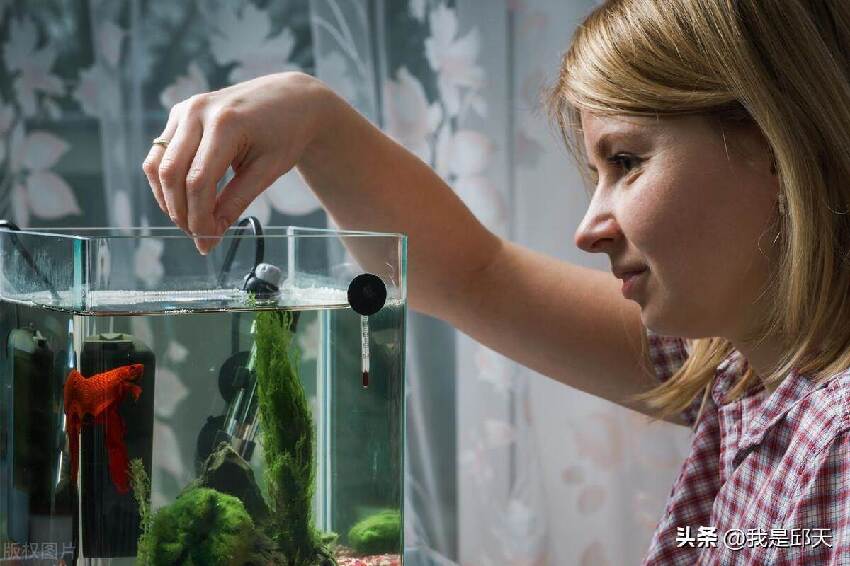 家裡再有錢，電視機旁盡量不要放這幾樣東西，好多人不懂，快拿走