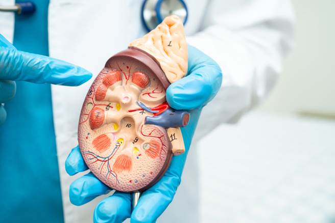 睡覺小腿狂抽筋！45歲男忍半年「已經第4期」醫嘆：早壞死了
